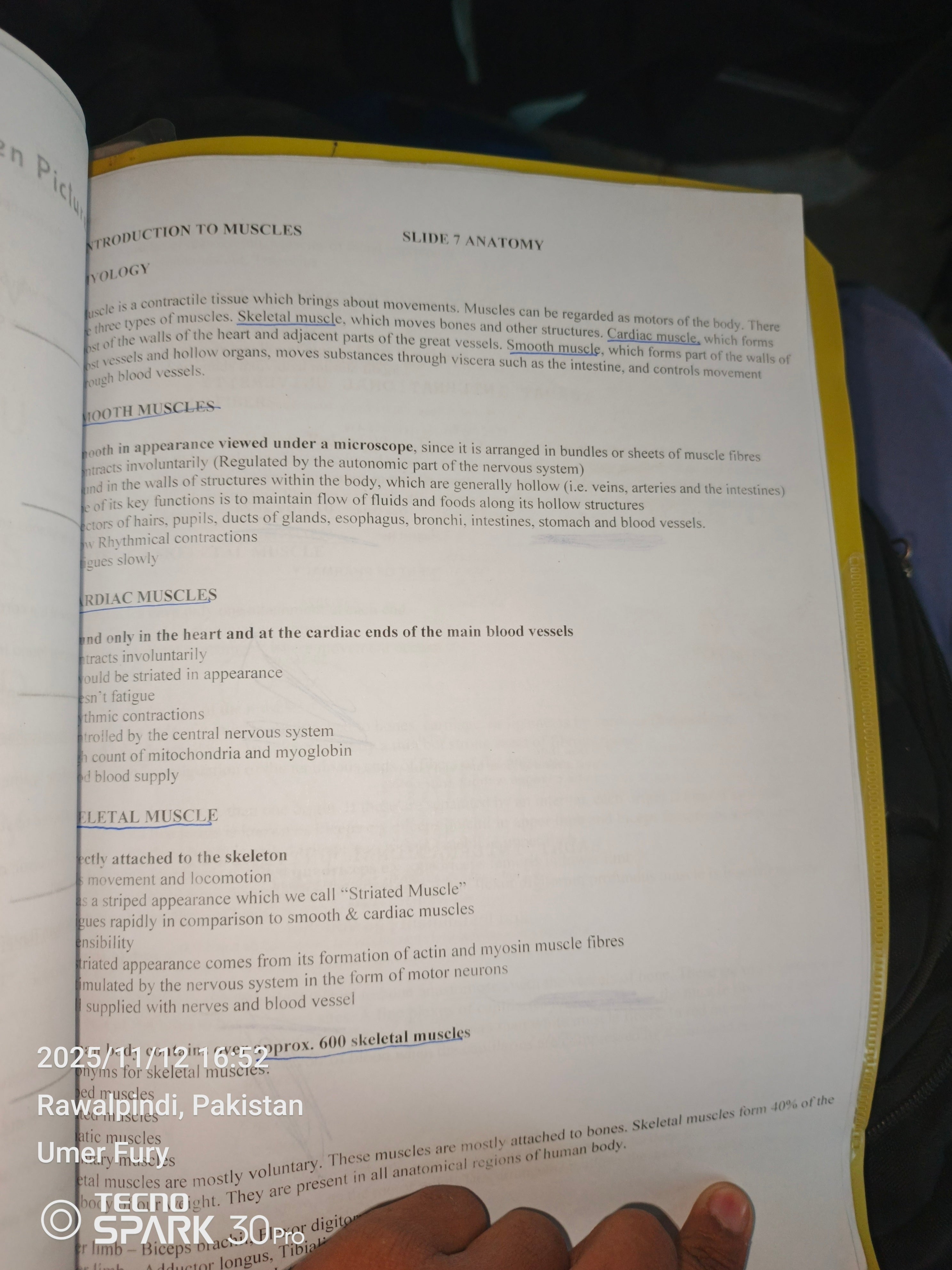 Anatomy-1 DPT printed